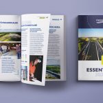 Rapport d'activité Mesea essentiels 2024